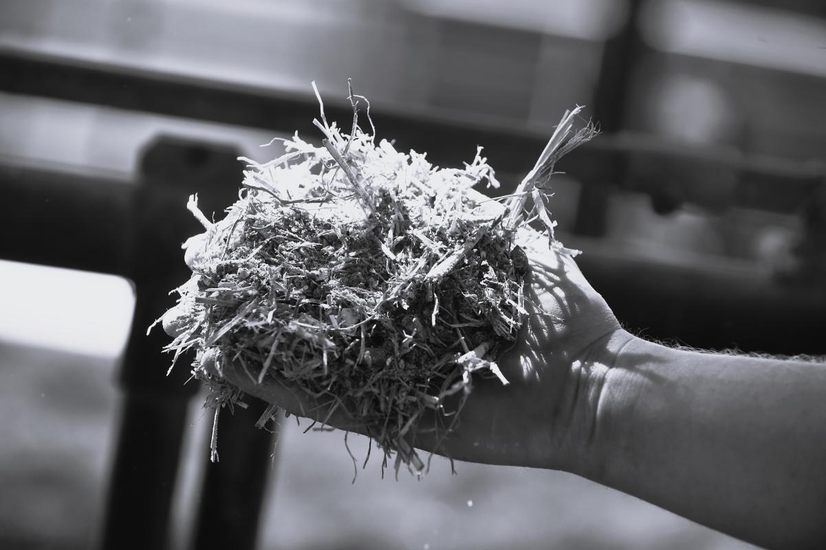 _THI3071 - Copie.JPG